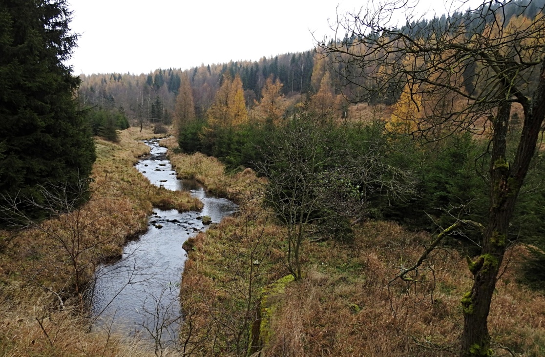 Potoky v horních partiích Krušných hor mají přirozený charakter.
